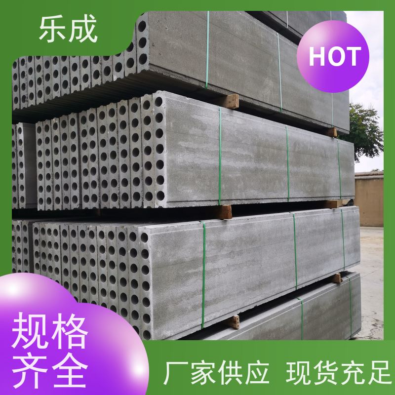 乐成品牌新型混泥土空心板砖胎膜 基础模板圆孔板状按需定制