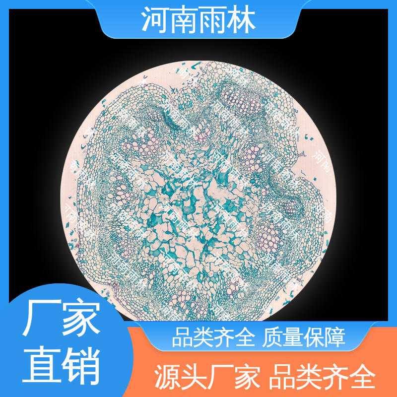 显微标本 切片安全 可提供材料 专业 雨林教育工程