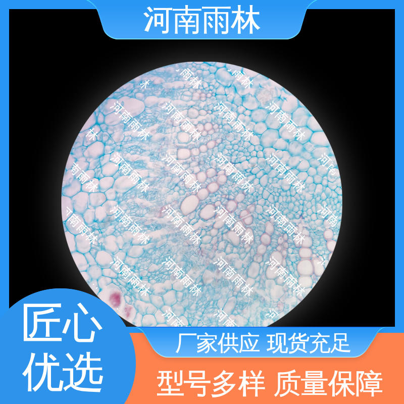 雨林教育工程 实验切片 品质优良 可提供材料 厂家销售