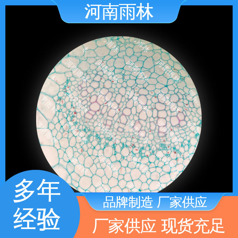 个性化定做 切片安全 病害标本 可提供材料 雨林教育