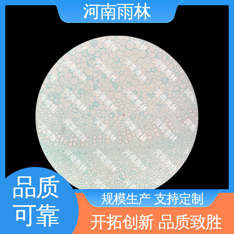 专业 植物标本 一对一质检 质量优 雨林教育工程