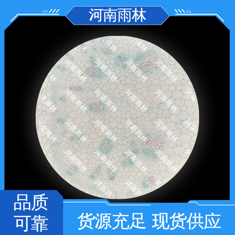 雨林教育工程 可提供材料 源头工厂 各类标本 质量保障