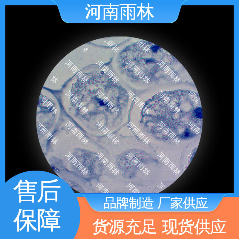 雨林教育工程 可后期加工 一对一质检 教学切片