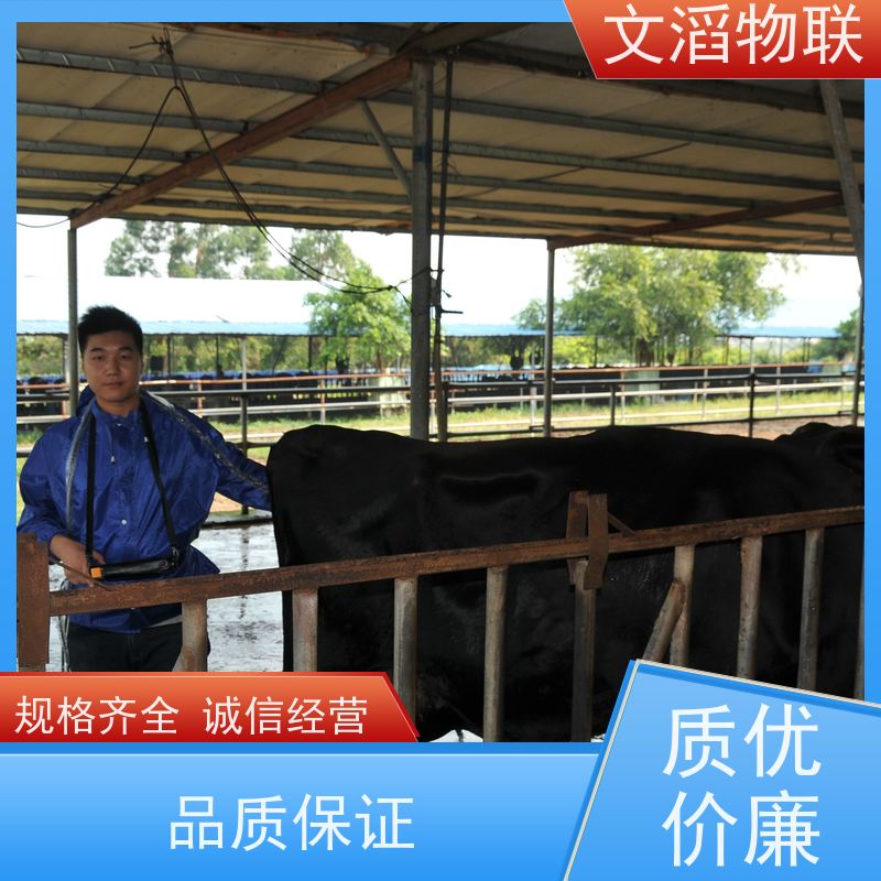 文滔物联 先进技术 畜牧饲喂监控系统 生成厂家 支持定制 