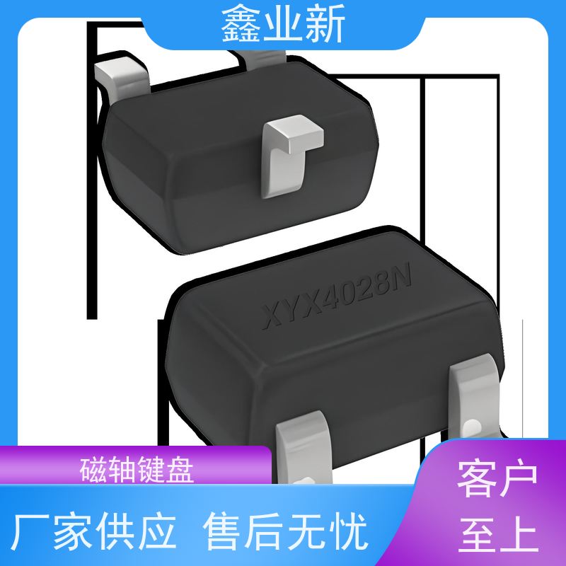 XYX4028N 低成本霍尔 30%矿物填充 高抗冲 厂家供应 售后无忧