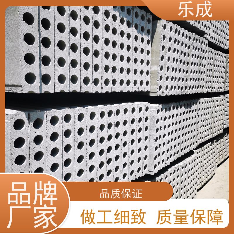 乐成品牌 新型混泥土空心板砖胎膜 源头定制 耐用稳定