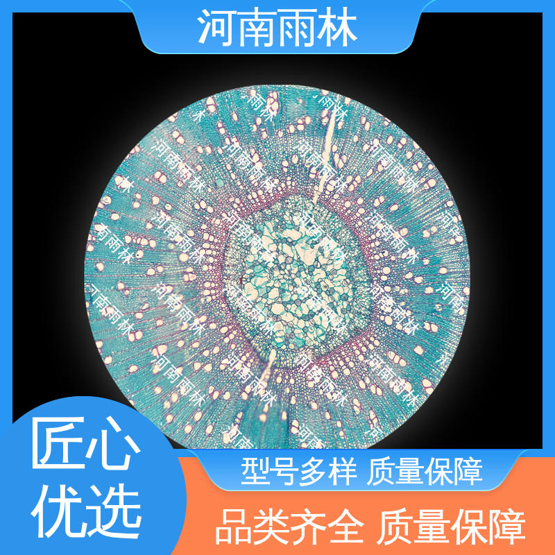 质量保障 个性化定做 可定制 生物切片 雨林教育工程