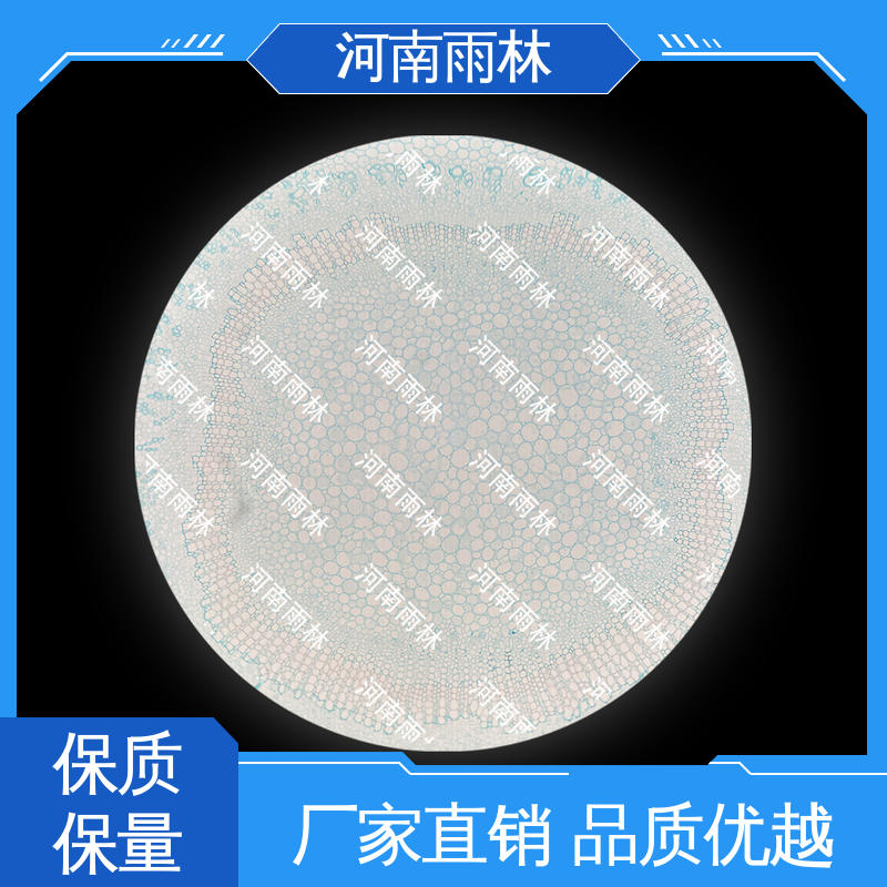 雨林教育工程 专业 切片安全 售后无忧 实验标本