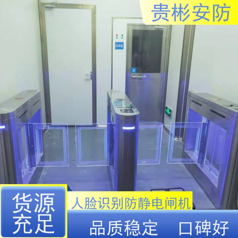 贵彬安防 闸机门禁系统 防静电摆闸 运行稳定 长期供应