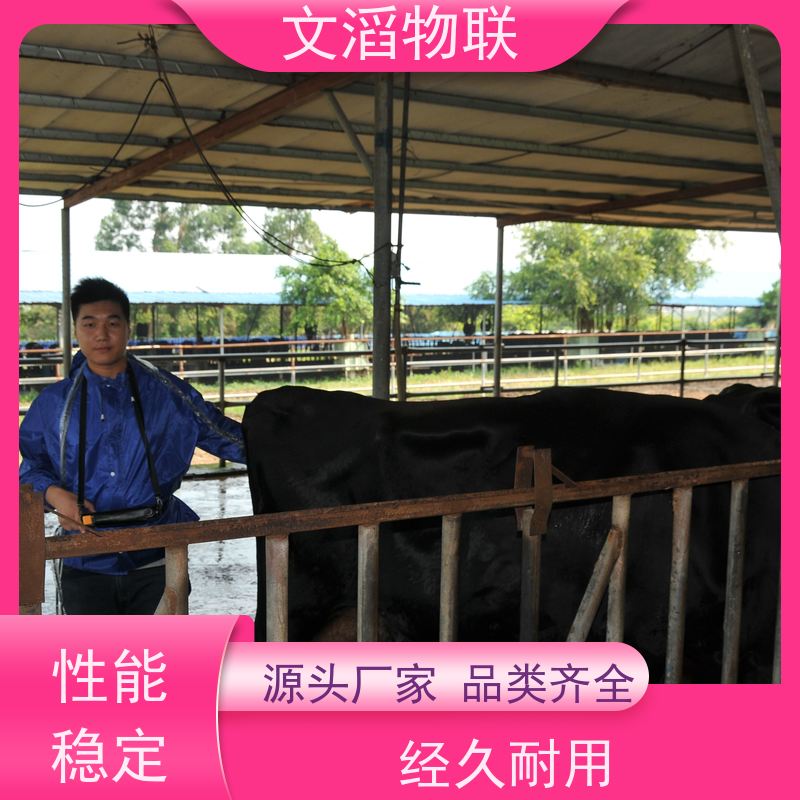 文滔物联 先进技术 肥牛全混合日粮饲喂监控系统 源头工厂 有保障 