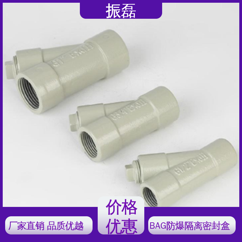 振磊 管子连接直通盒 ExdllC Gb/DIP55 A20 BAG 纵向隔离密封盒