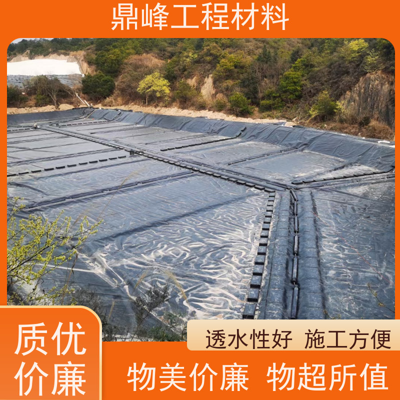 鼎峰 1.0mmhdpe土工膜 易于铺设 抗冻融四季稳定可靠