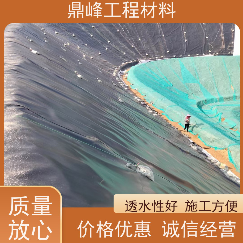 鼎峰 土工膜1.5厚 抗开裂 增强土壤结构提升肥力