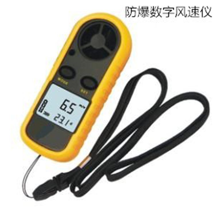 路博环保 防爆数字风速仪EX-JDM1 本质安全型 风向风量仪