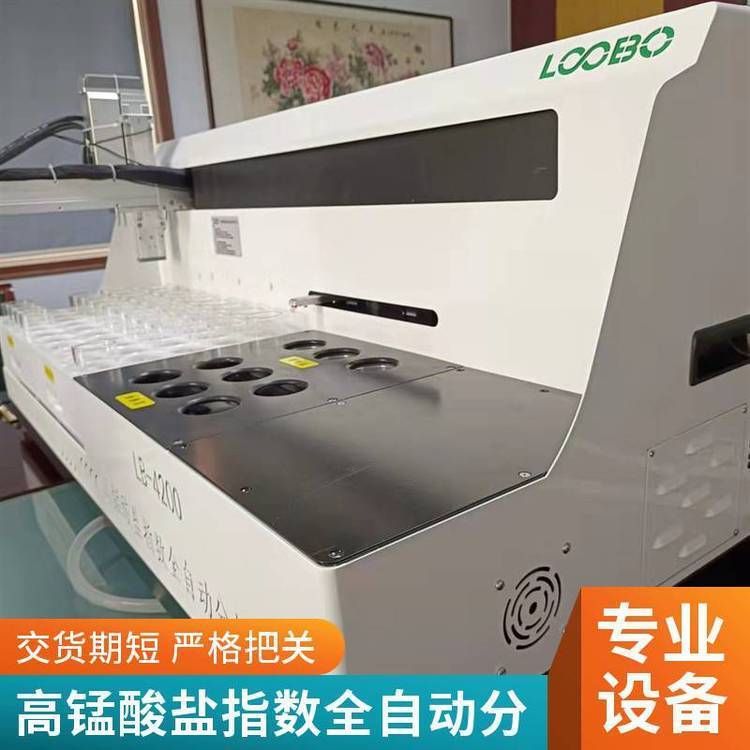 全自动高锰酸盐指数分析仪 一键检测 地下水测定 低浓度COD测定仪
