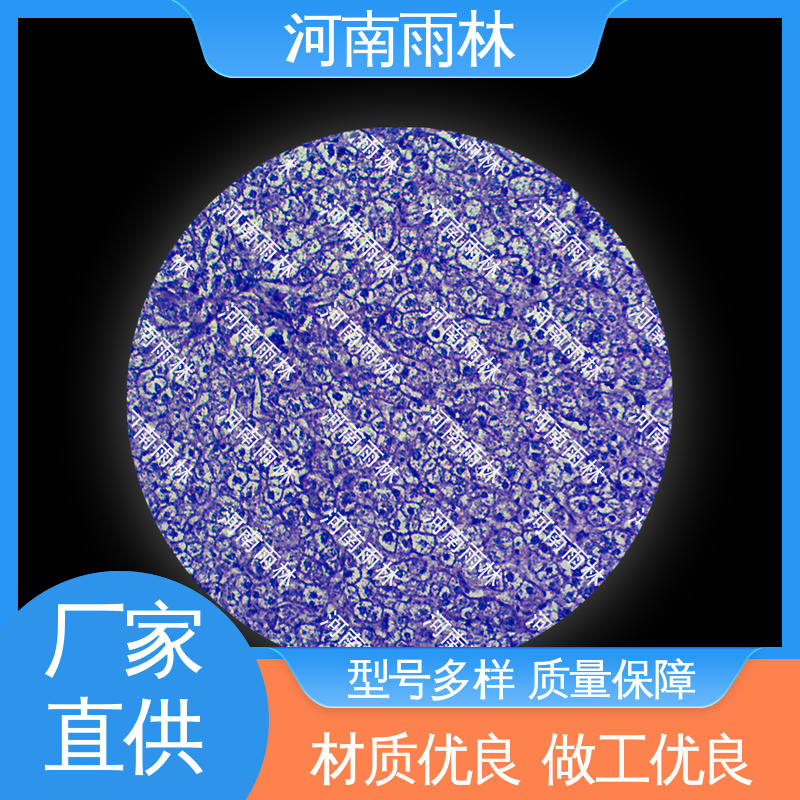 各类标本 质量优 颜色鲜亮 源头工厂 雨林教育工程