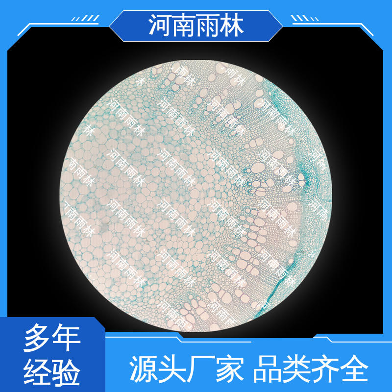 一对一质检 质量优 生物切片 厂家销售 雨林教育