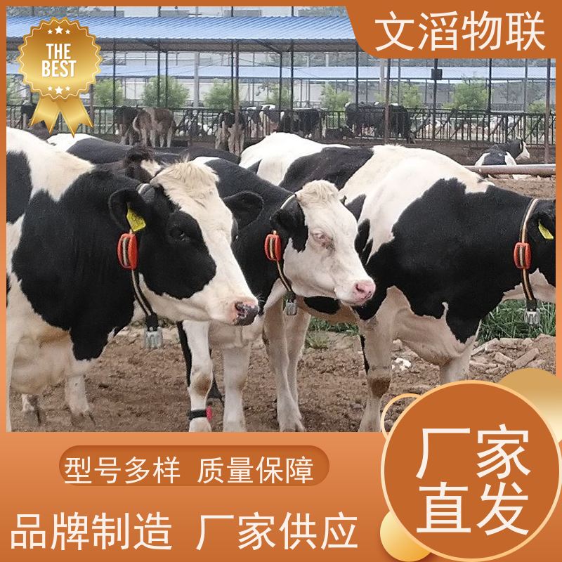 文滔物联 猪B超 宠物发情监测GPS定位计步器 源头厂家 