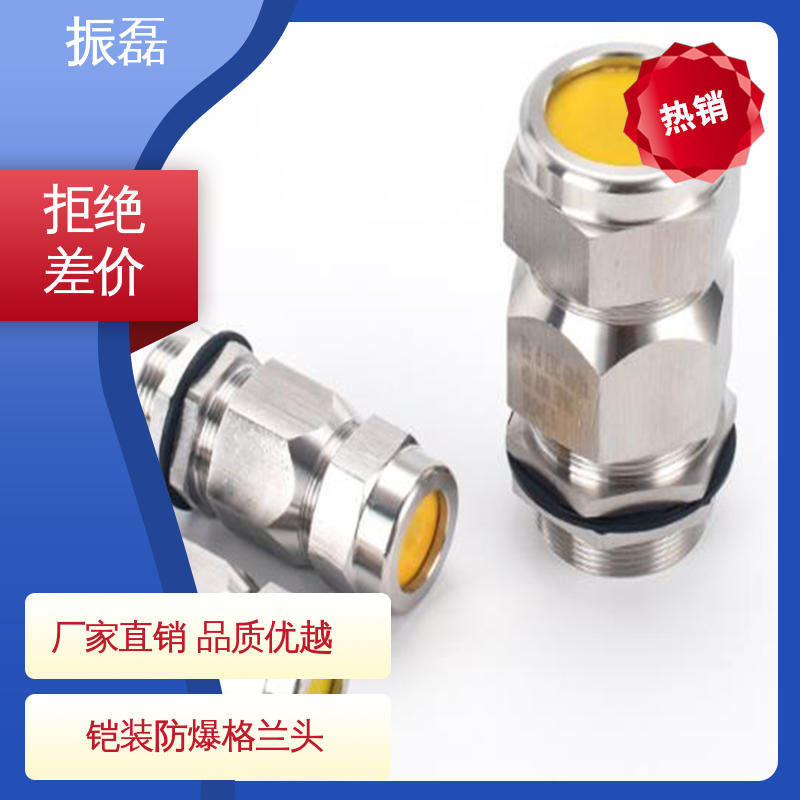 振磊 一内一外 不锈钢材质IP65 电机用 防爆电缆密封接头