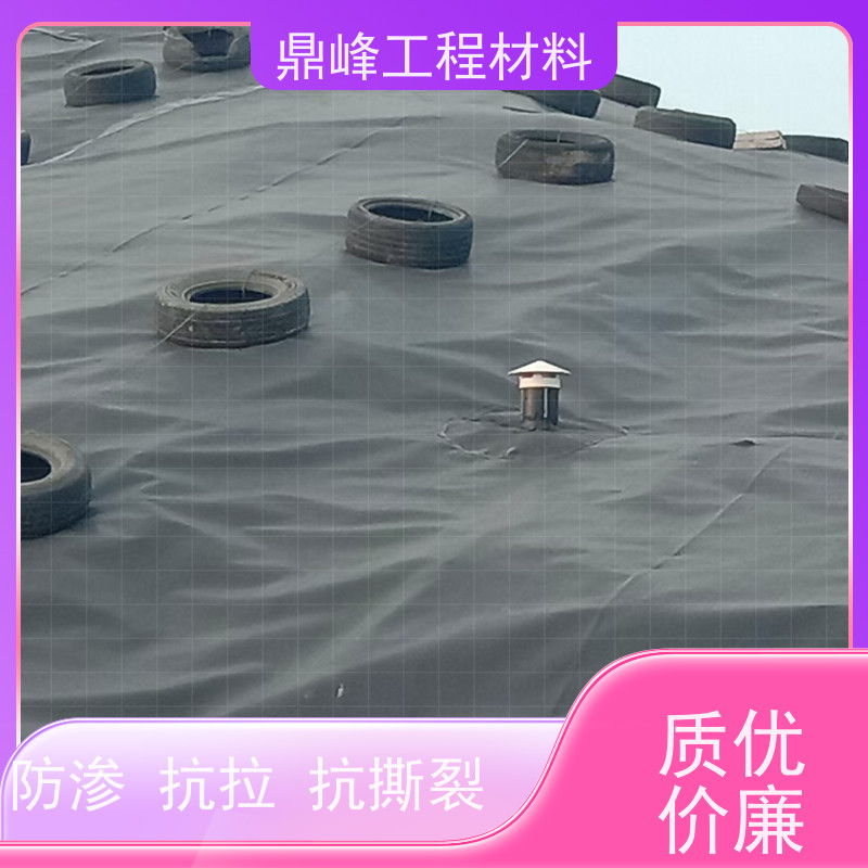 鼎峰 1.5厚hdpe土工膜 抗开裂 防止水土流失保护生态
