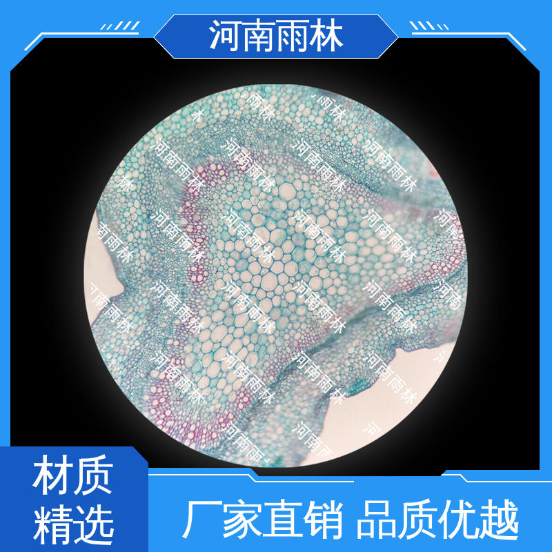 雨林教育 厂家销售 植物切片 一对一质检 可定制