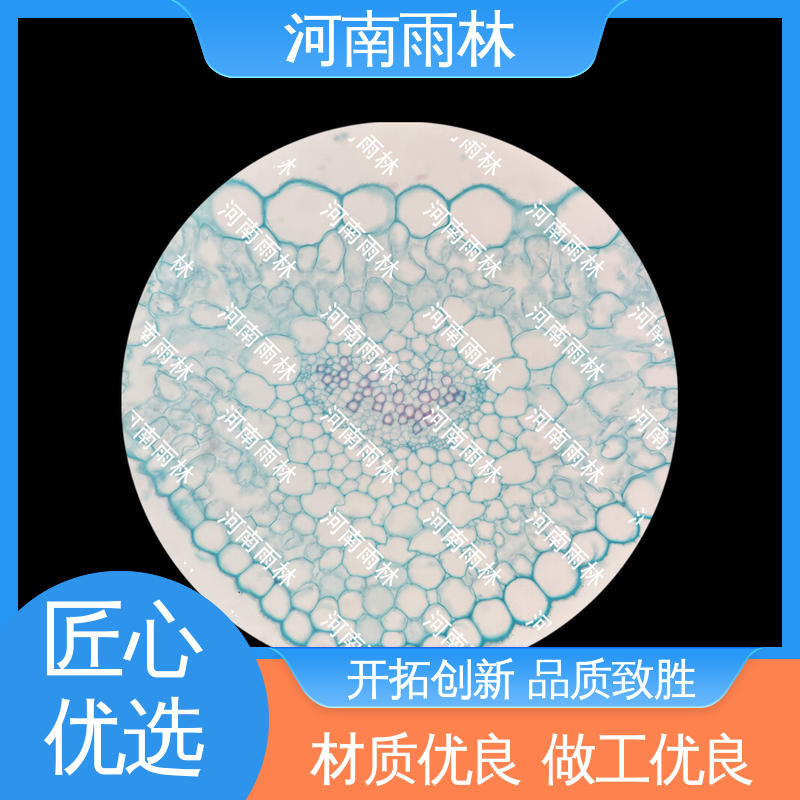 雨林教育工程 实验切片 一对一质检 售后无忧 源头工厂