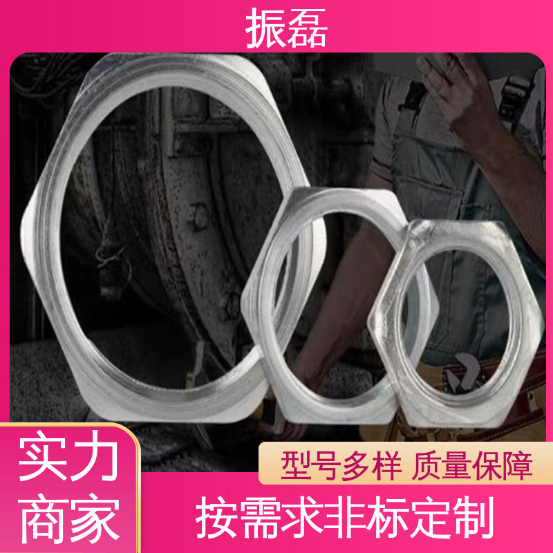 振磊 外六角不锈钢补芯G1/2 304 镀锌钢管锁母 碳钢格兰头