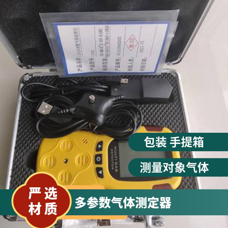 CD4(A)多参数气体测定器 具有时间显示与设定功能