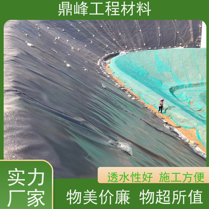 鼎峰 水池防渗膜 耐热性良好 质量轻便运输安装方便