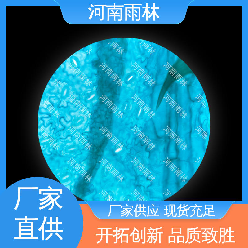 雨林教育 可后期加工 各类标本 细胞清晰 支持定制