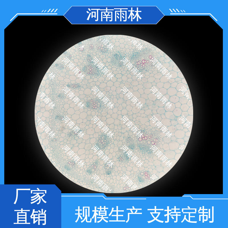 雨林教育工程 可后期加工 植物标本 专业 一对一质检