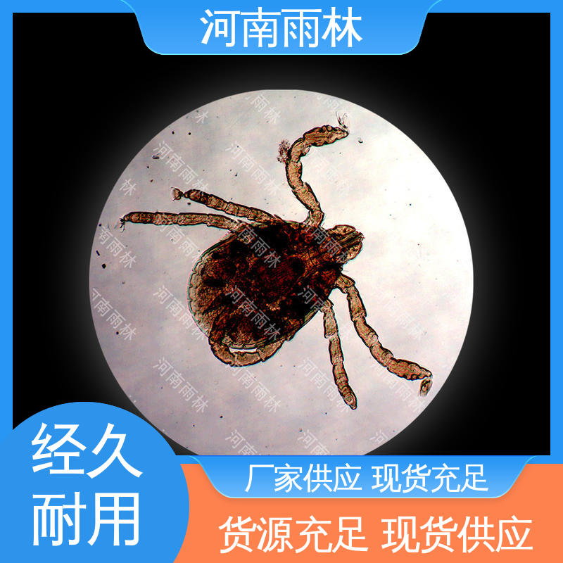 可提供材料 个性化定做 质量保障 生物切片 雨林教育
