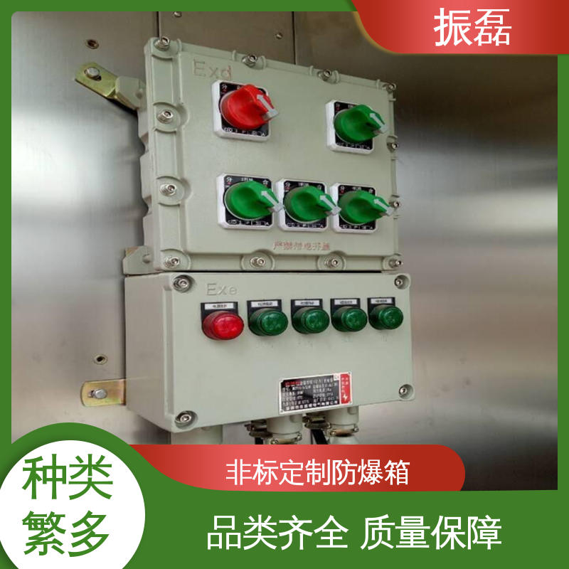 BXMD IP66 IIBT6级 bxm防爆照明动力配电箱 户内户外 振磊