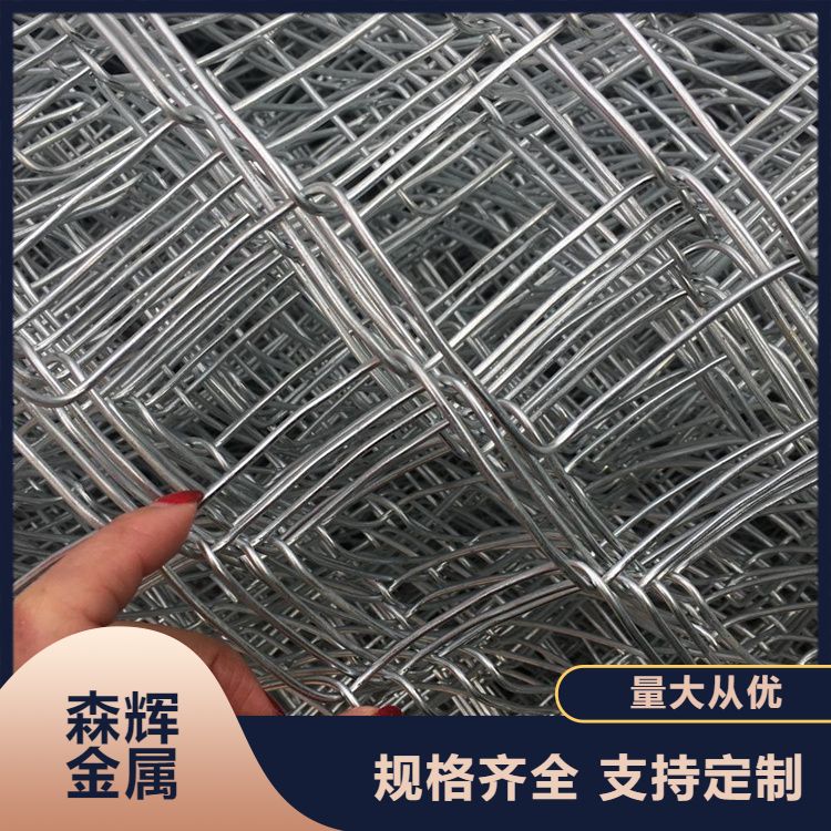 森辉金属 镀锌勾花网 学校球场围栏 建筑工地不锈钢拧花网