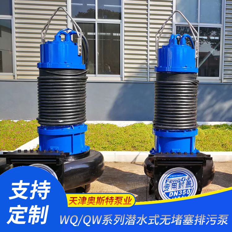  WQ系列潜水排污泵 大流量 高扬程 根据客户需求定制