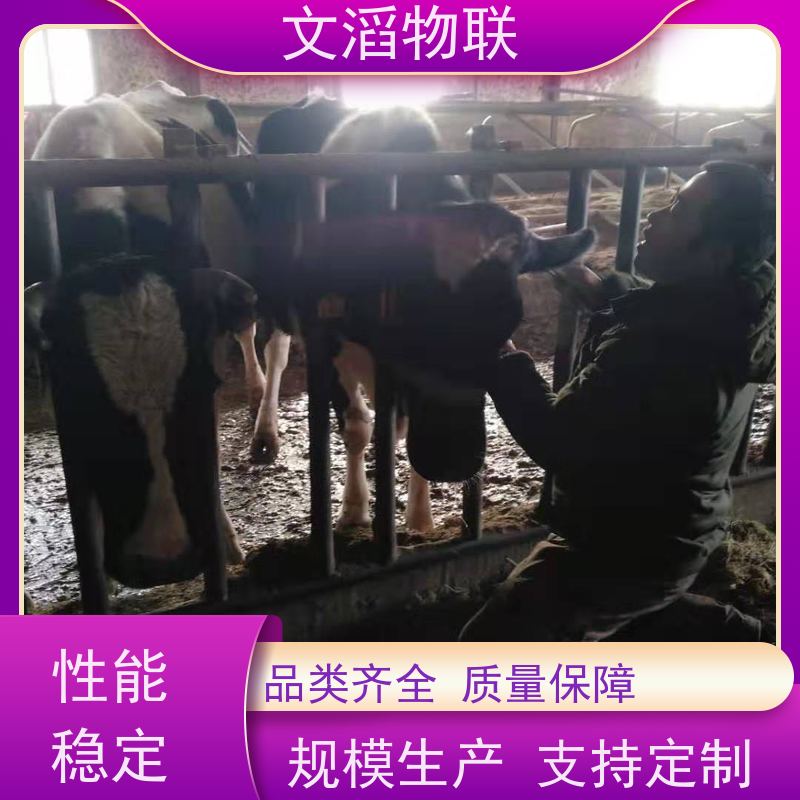 文滔物联 猪B超 牛羊马驴发情监测GPS定位计步器 批发 