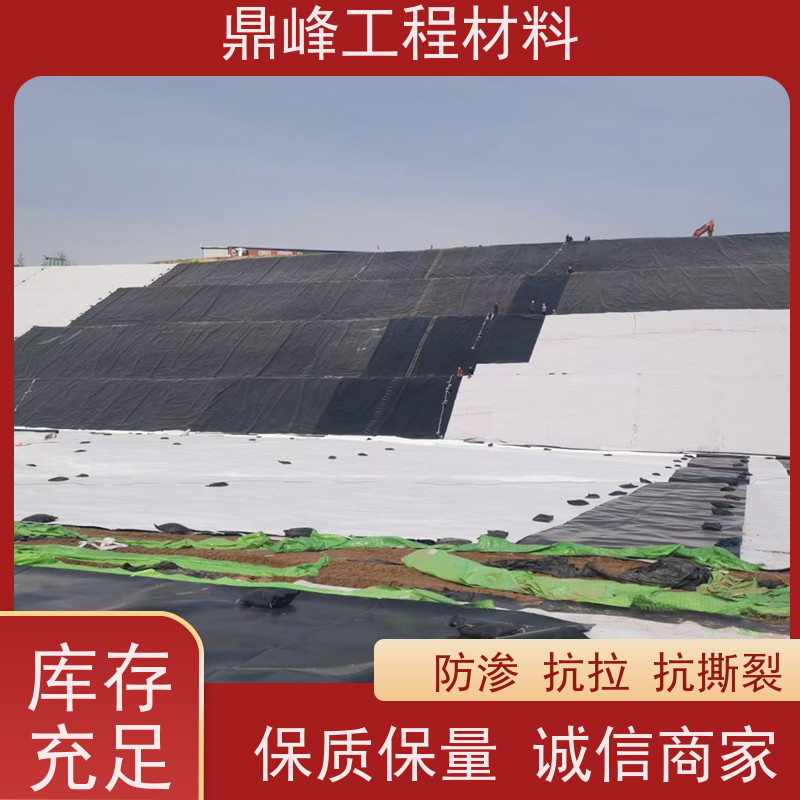 鼎峰 土工膜糙面 耐腐蚀 节省成本经济效益显著