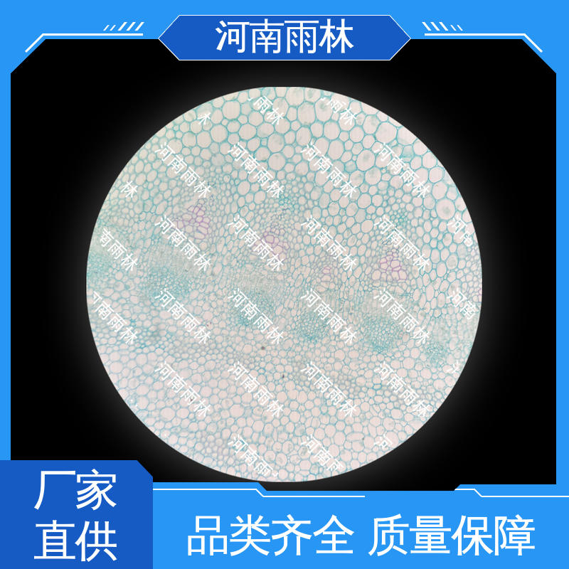 雨林教育工程 一对一质检 支持定制 实验切片 售后无忧