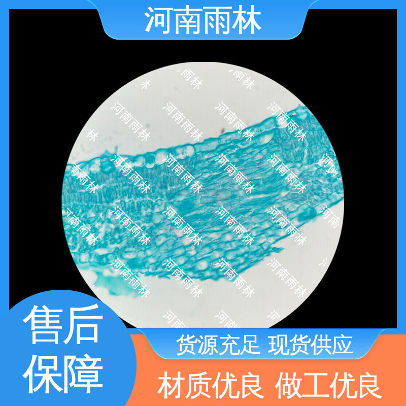 雨林教育工程 售后无忧 显微标本 颜色鲜亮 支持定制