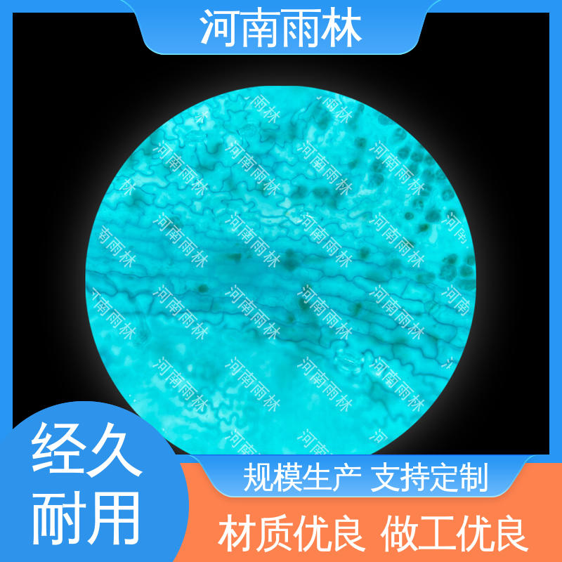 质量保障 源头工厂 植物切片 售后无忧 雨林教育工程