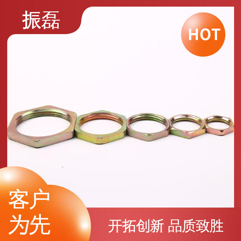 各种规格定制 防爆六角螺母锁 碳钢格兰头 振磊