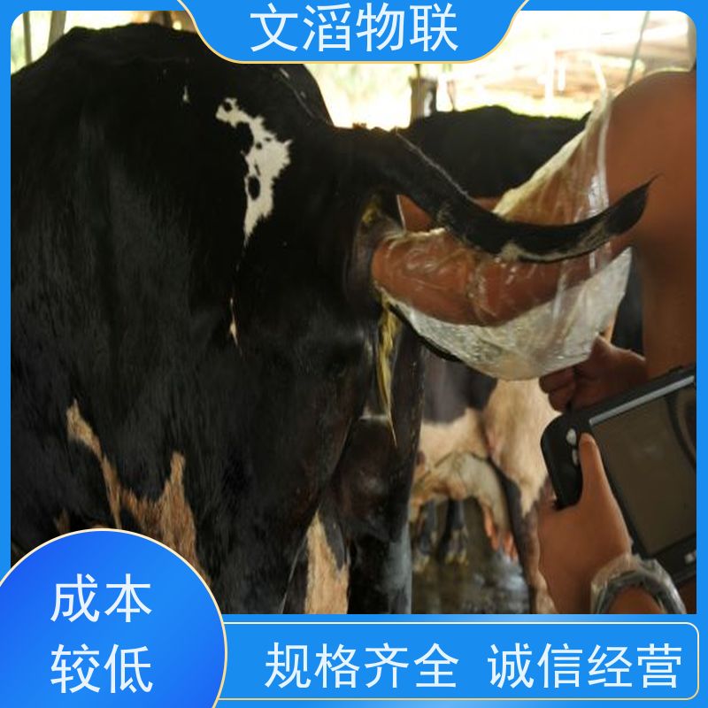 文滔物联 先进技术 全混合日粮精准饲喂监控系统 源头工厂 有保障 