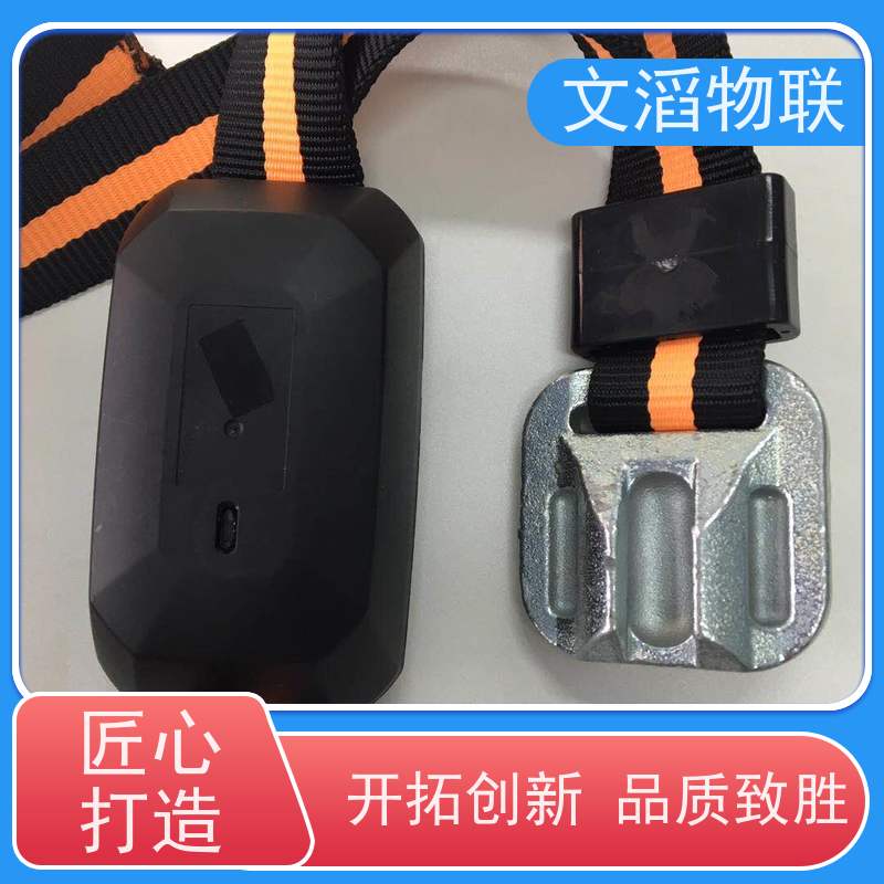 文滔物联 猪B超 牛羊马驴发情监测GPS定位计步器 生产厂家 