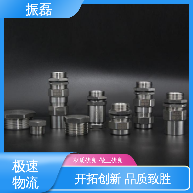 振磊 防爆电缆密封接头 防尘阻燃隔热 BDM 不锈钢材质IP65