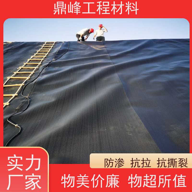 鼎峰 垃圾填埋场土工膜 化学稳定性能 阻隔盐碱保护农作物