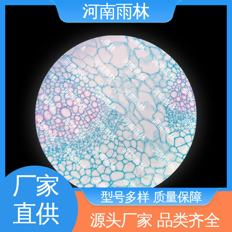 雨林教育工程 一对一质检 实验标本 个性化定做 可定制
