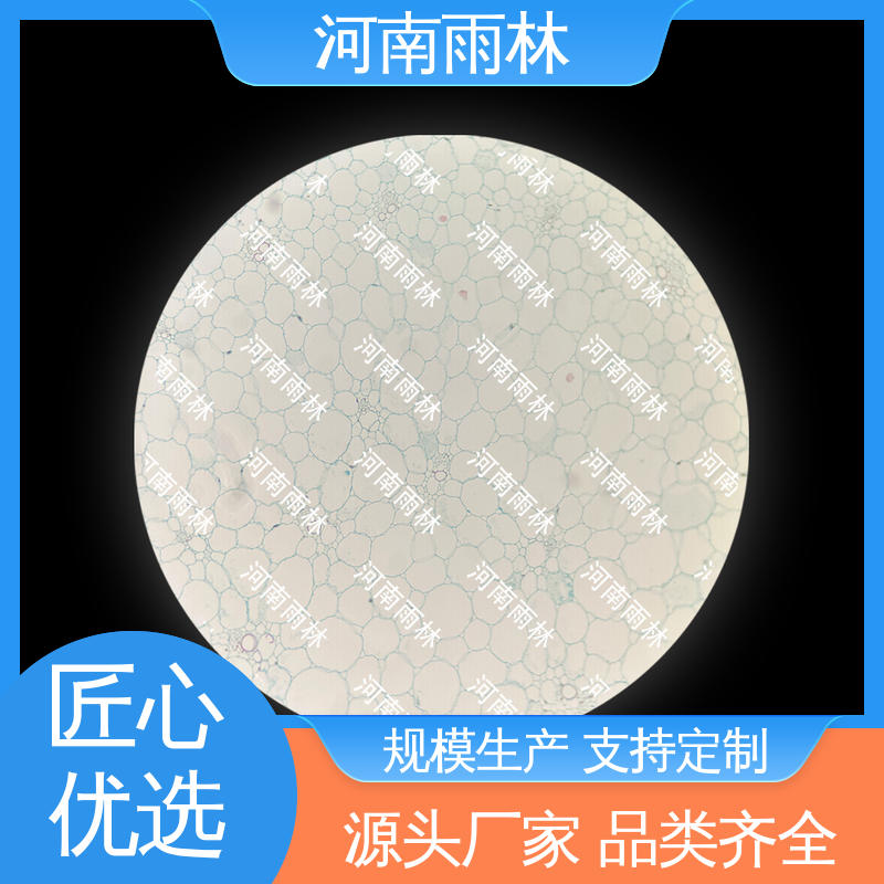 雨林教育 植物标本 个性化定做 性价比高 质量保障