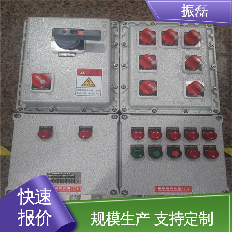 振磊 工地 bxm防爆照明动力配电箱 增安型分线端子箱