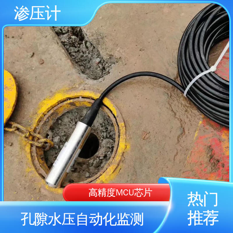 自动化实时监测 堤防水工建筑物 硅压阻式渗压计 结构物内部水压