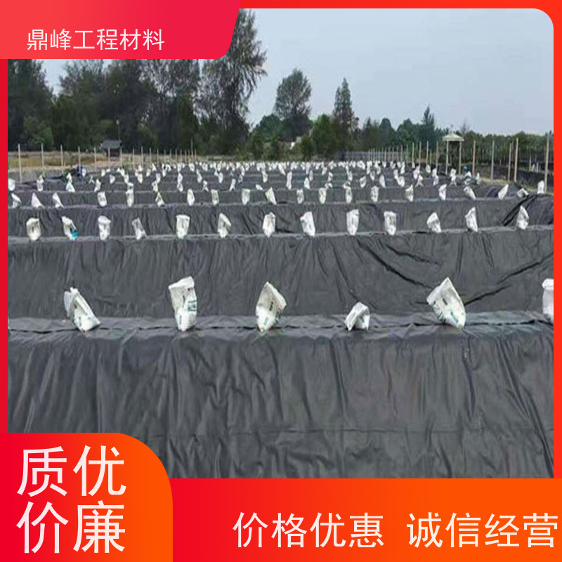 鼎峰 土工膜生产厂家 防渗性能好 防止滑坡稳固地基